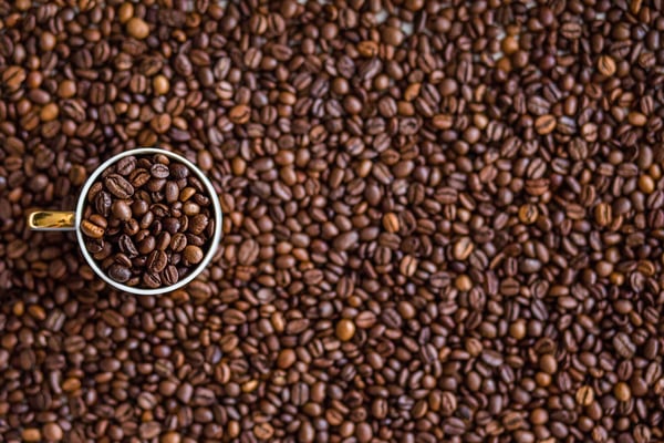 Hot Beverage Options on Today's Market - What's New in Coffee